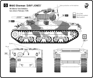 Bison Decals